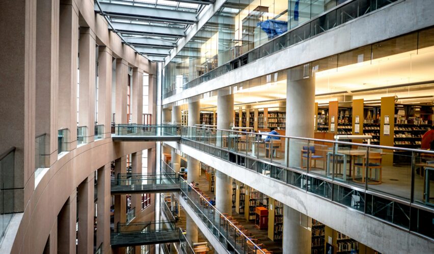 AI in the public sector